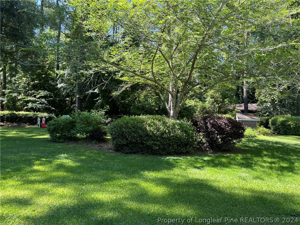 106 Bee Gee Road Lumberton, NC 28358 - Photo 32 of 35 Gallery Image 32