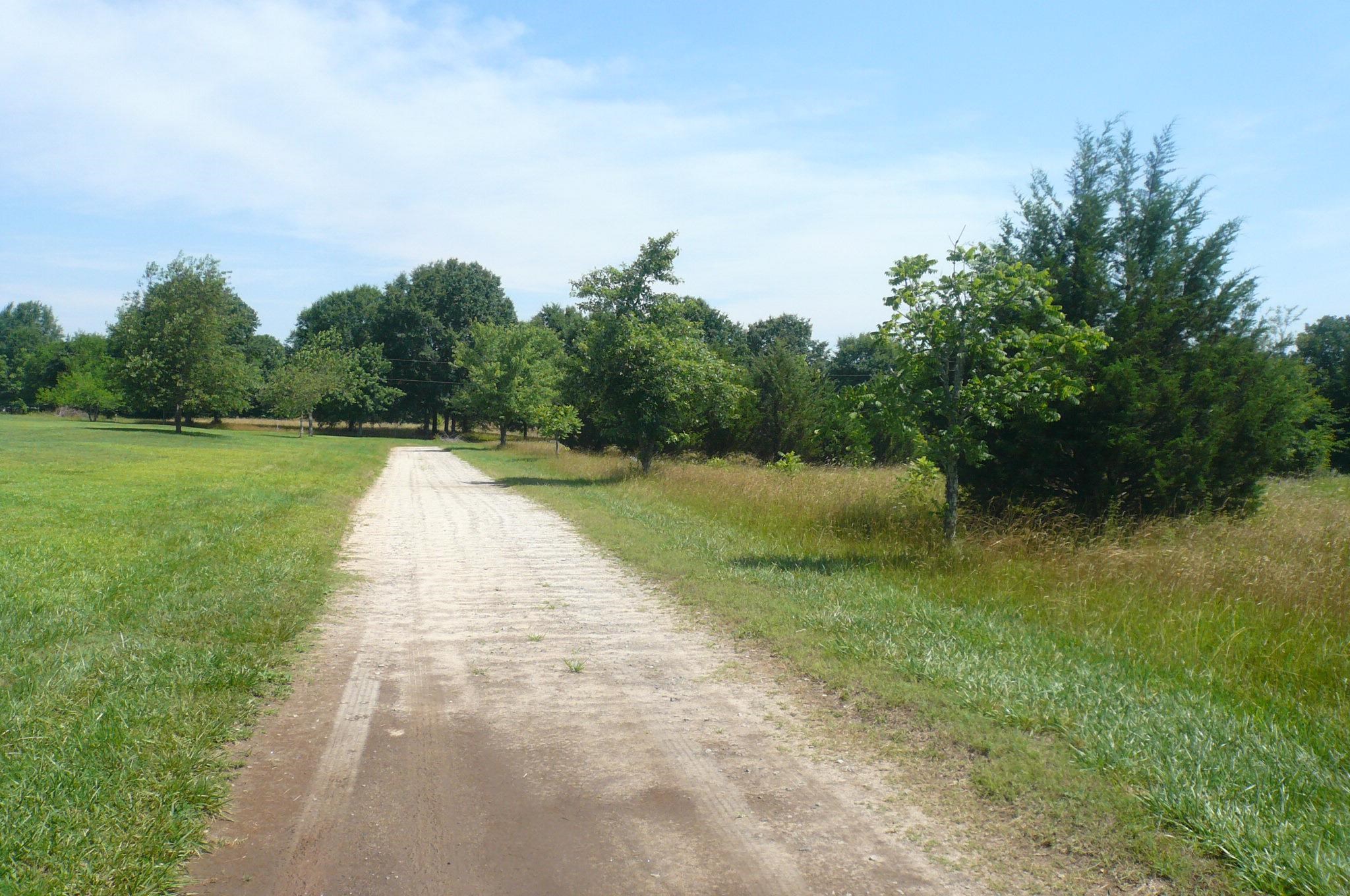 147 Farms Bridge Road Inman, SC 29349 - Photo 11 of 21