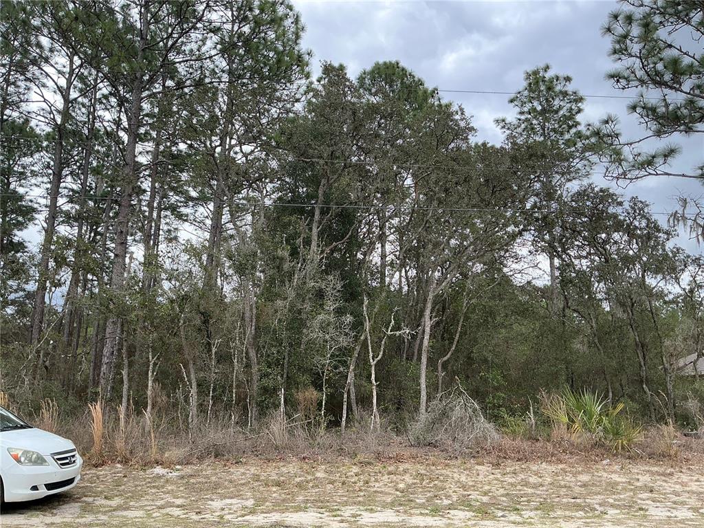 Southwest 79th Terrace Ocala, FL 34473 - Photo 1 of 1 Gallery Image 1