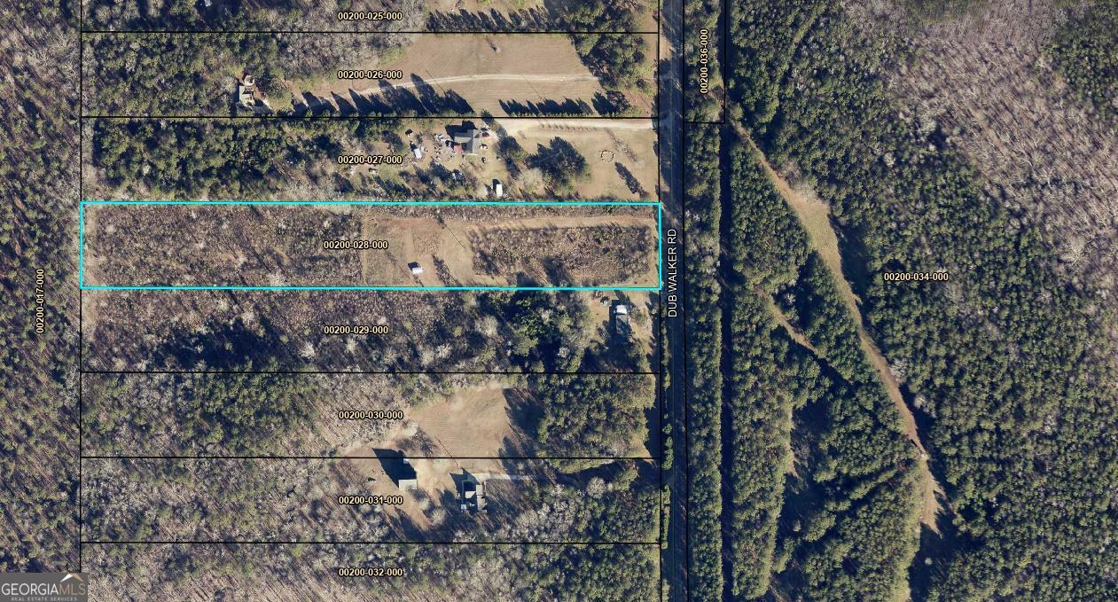 0 Dub Walker Road Jackson, GA 30233 - Photo 2 of 2