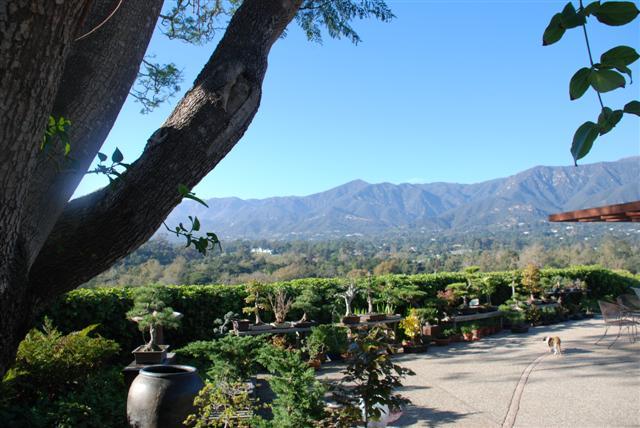 239 Ortega Ridge Road Montecito, CA 93108 - Photo 4 of 4 view of an outdoor space and a yard