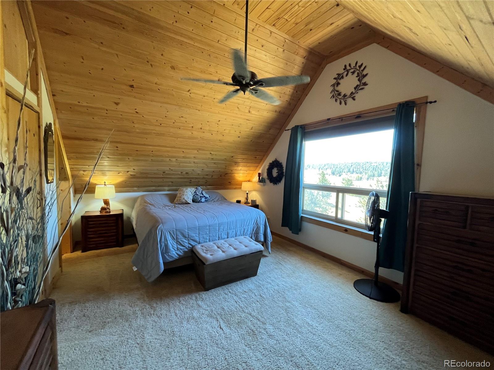 3690 Singletree Road Hartsel, CO 80449 - Photo 18 of 38 Gallery Image 18
