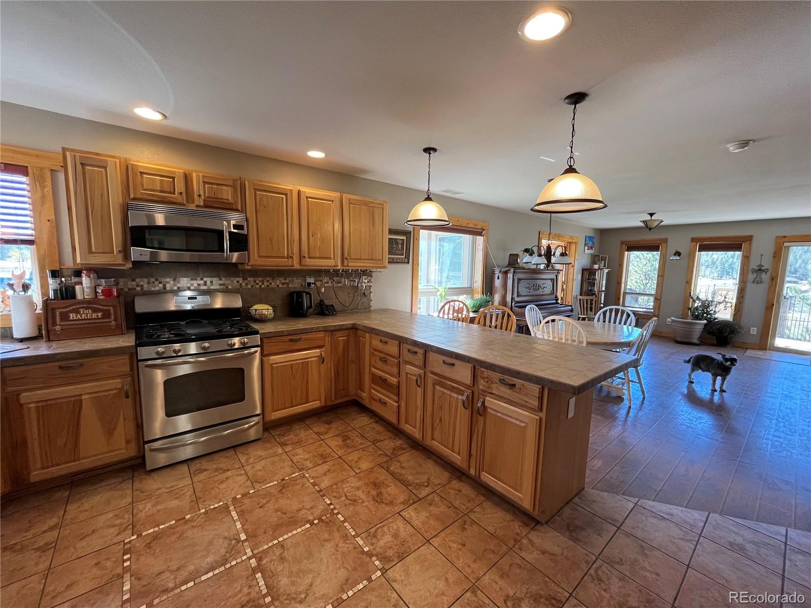 3690 Singletree Road Hartsel, CO 80449 - Photo 7 of 38 Gallery Image 7