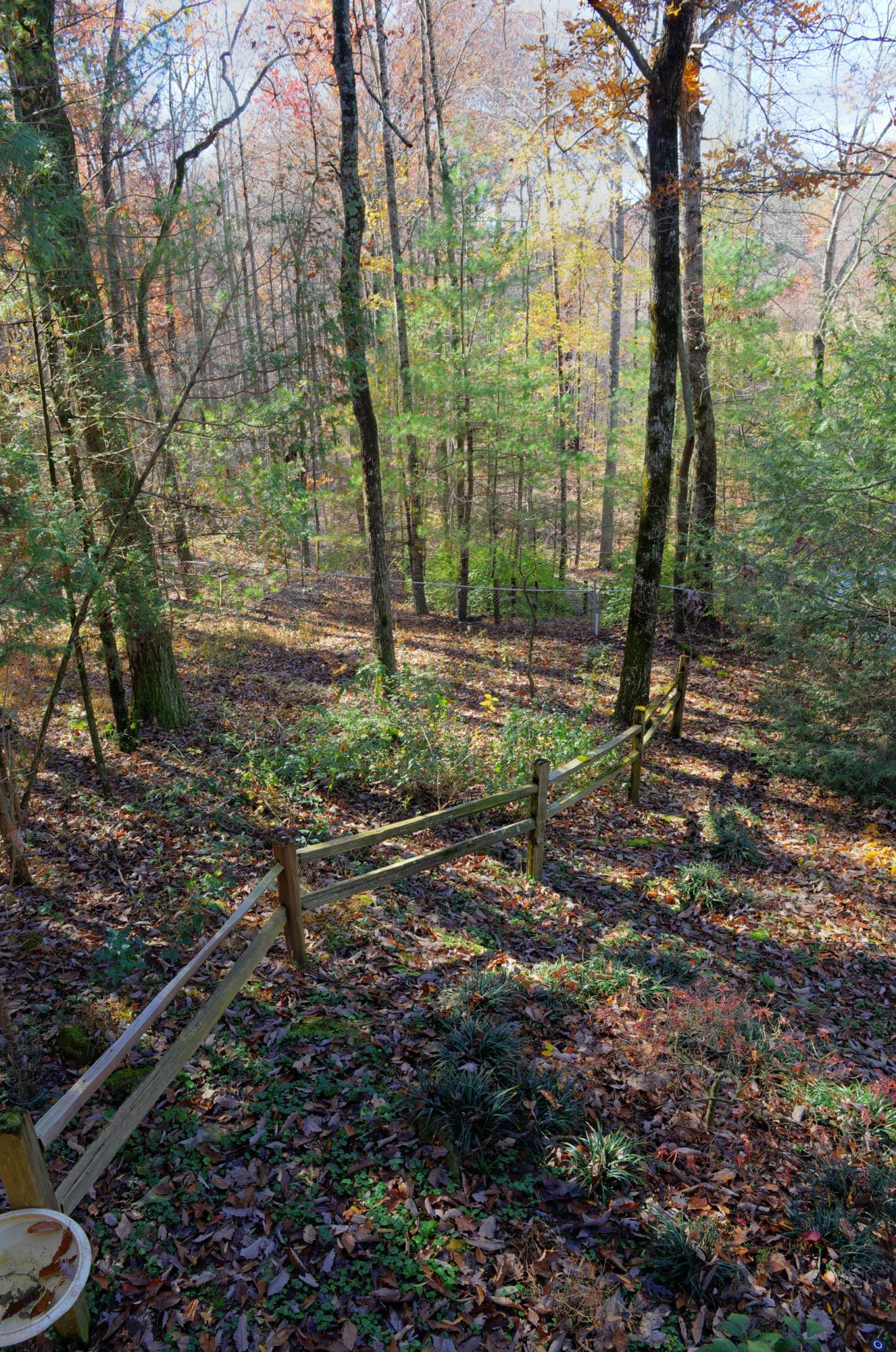 608 Shaver Road Dayton, TN 37321 - Photo 44 of 48 52. 608 Shaver Road - Fenced yard 2