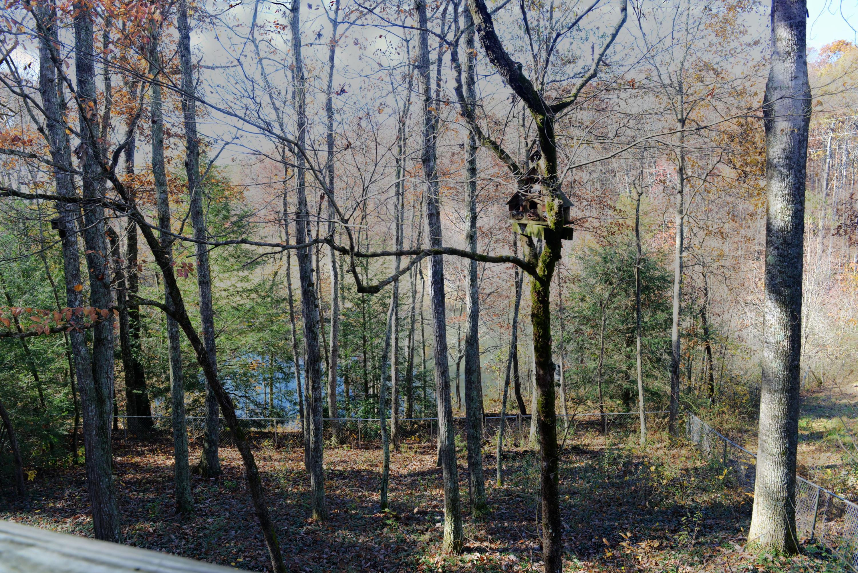 608 Shaver Road Dayton, TN 37321 - Photo 45 of 48 53. 608 Shaver Road - Fenced yard