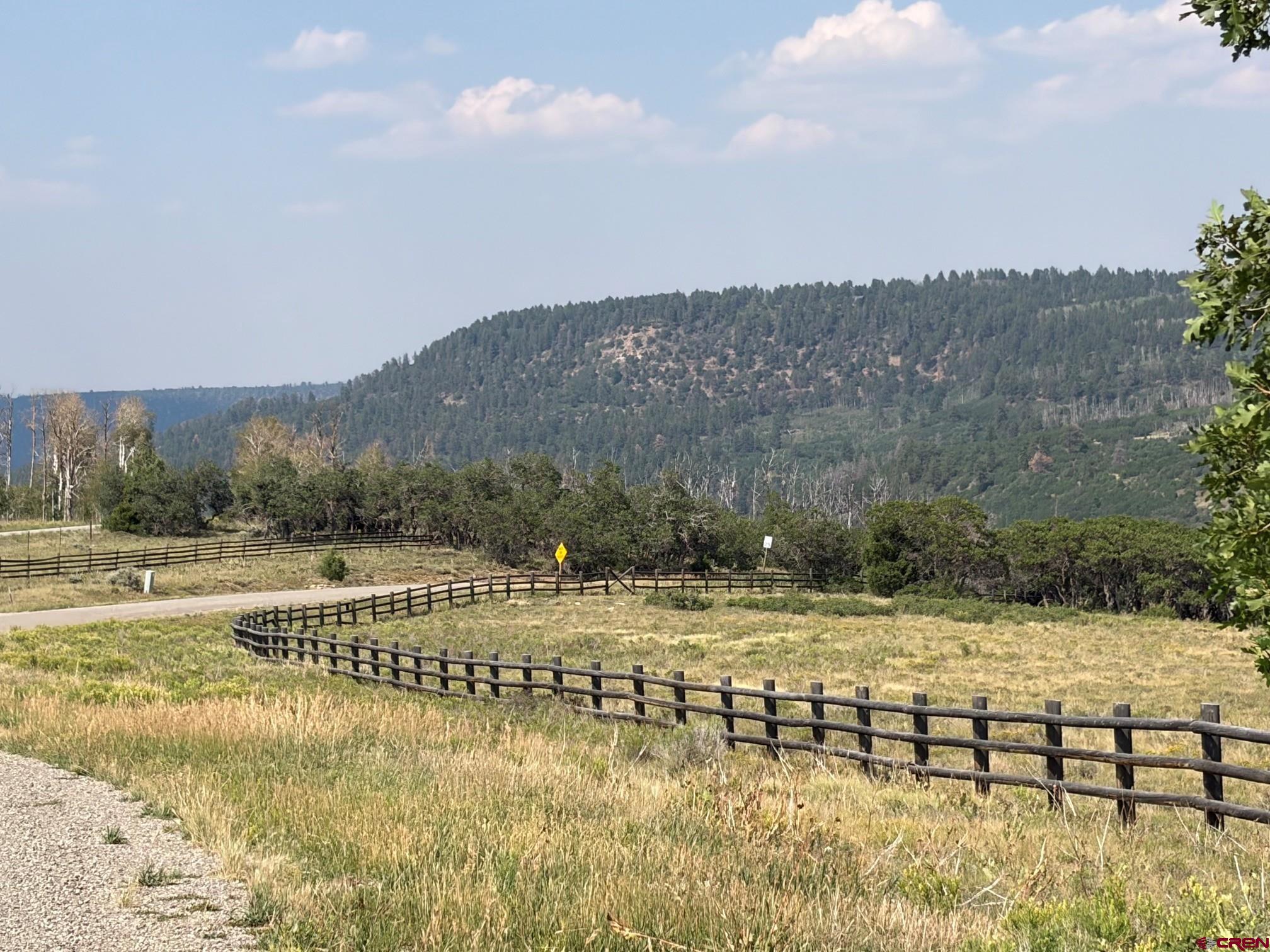 Lot G M44 Road Placerville, CO 81430 - Photo 9 of 16 Gallery Image 9