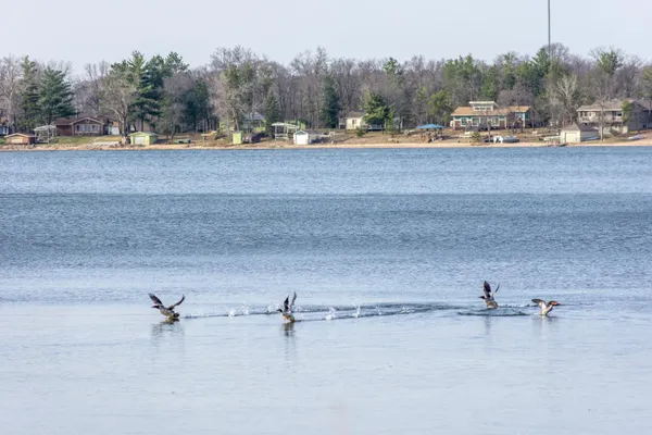 $599,900 | 5471 Crow Wing Lake Road, Fort Ripley, MN 56449