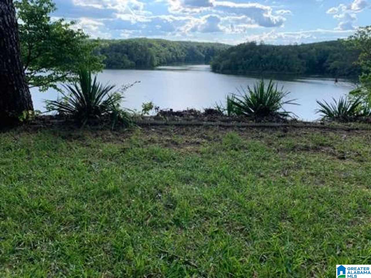 433 Riverview Road Adger, AL 35006 - Photo 3 of 42