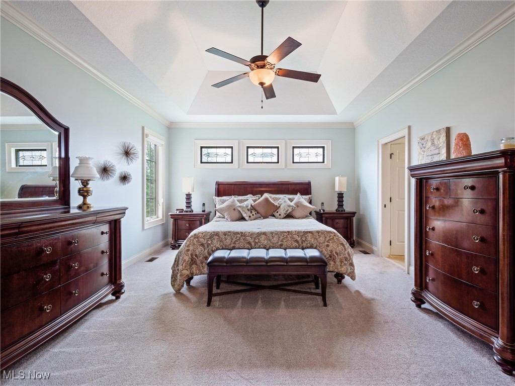 5349 Slater Ridge Westerville, OH 43082 - Photo 23 of 50 Carpeted bedroom featuring crown molding, a tray ceiling, and ceiling fan