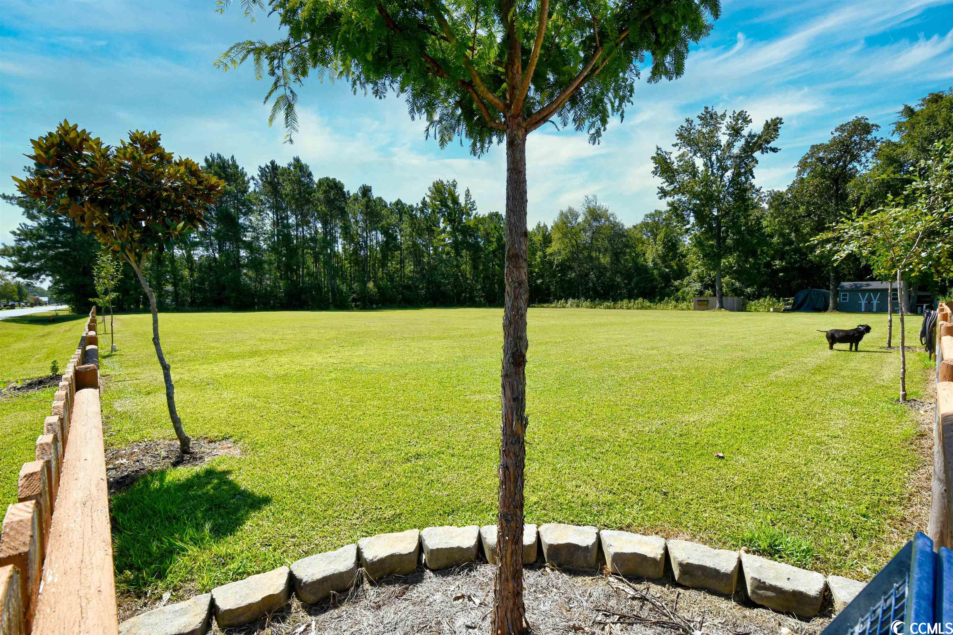 Lot 34 Russ Road Loris, SC 29569 - Photo 1 of 15 Gallery Image 1