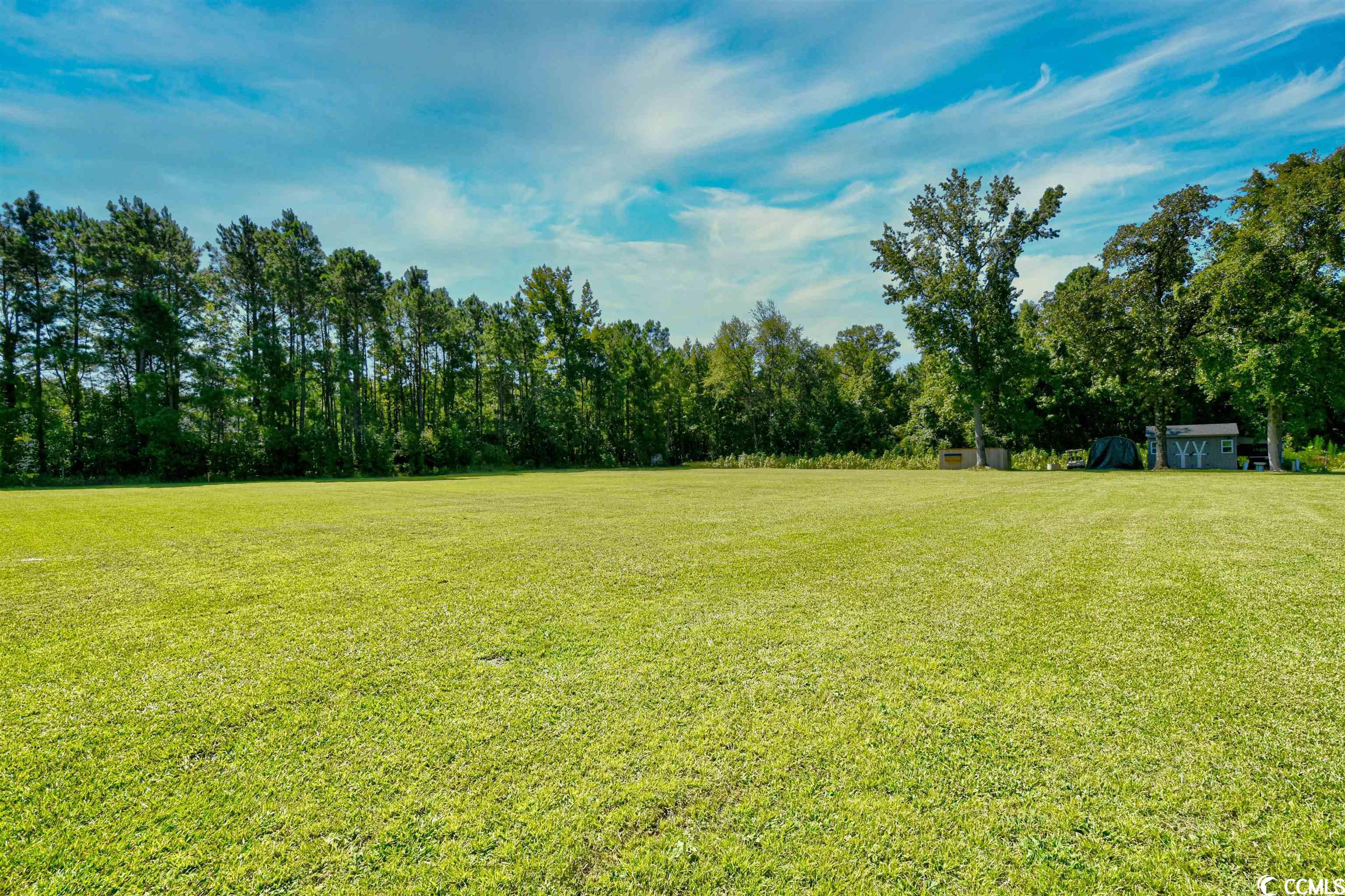 Lot 34 Russ Road Loris, SC 29569 - Photo 4 of 15 Gallery Image 4