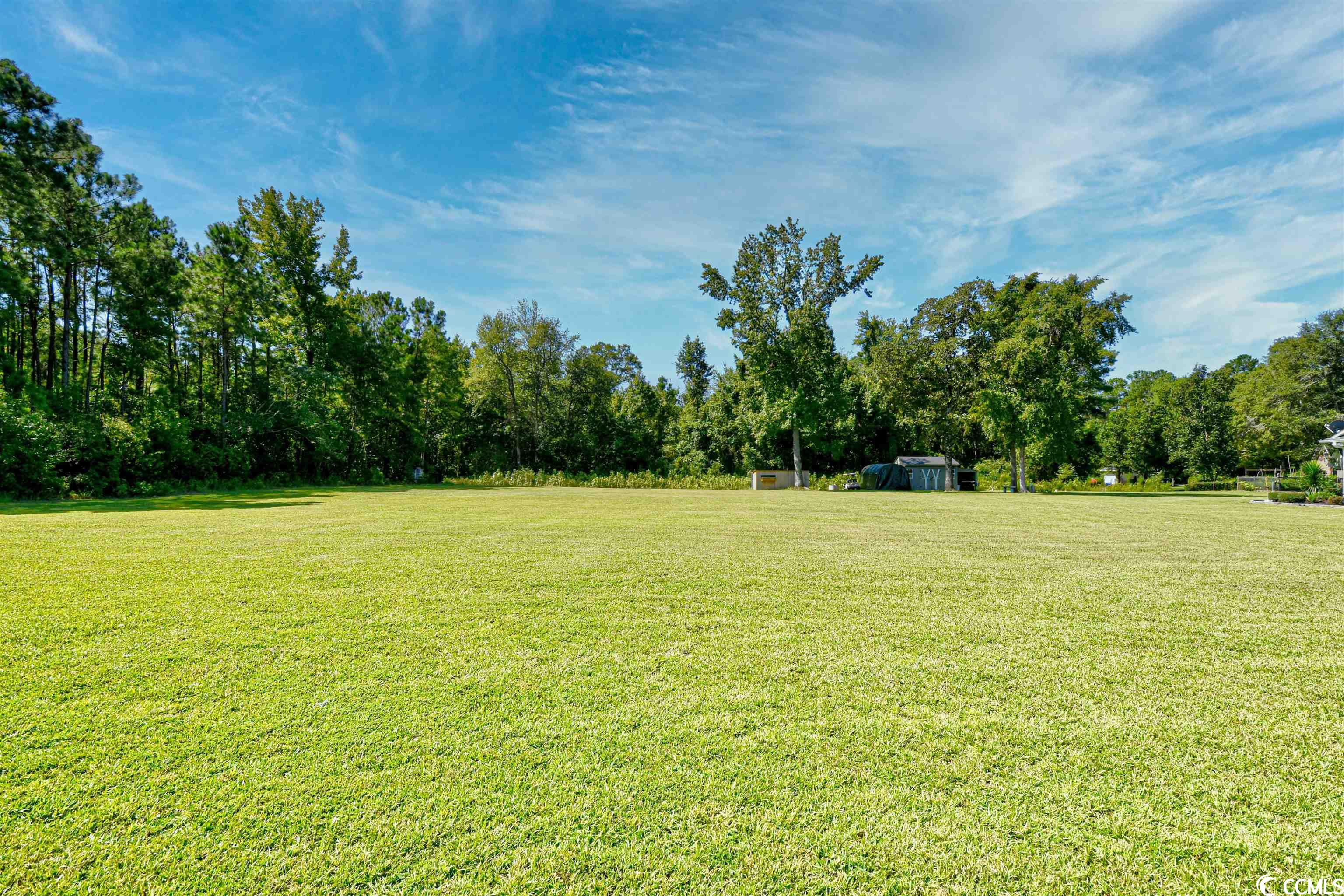 Lot 34 Russ Road Loris, SC 29569 - Photo 5 of 15 Gallery Image 5