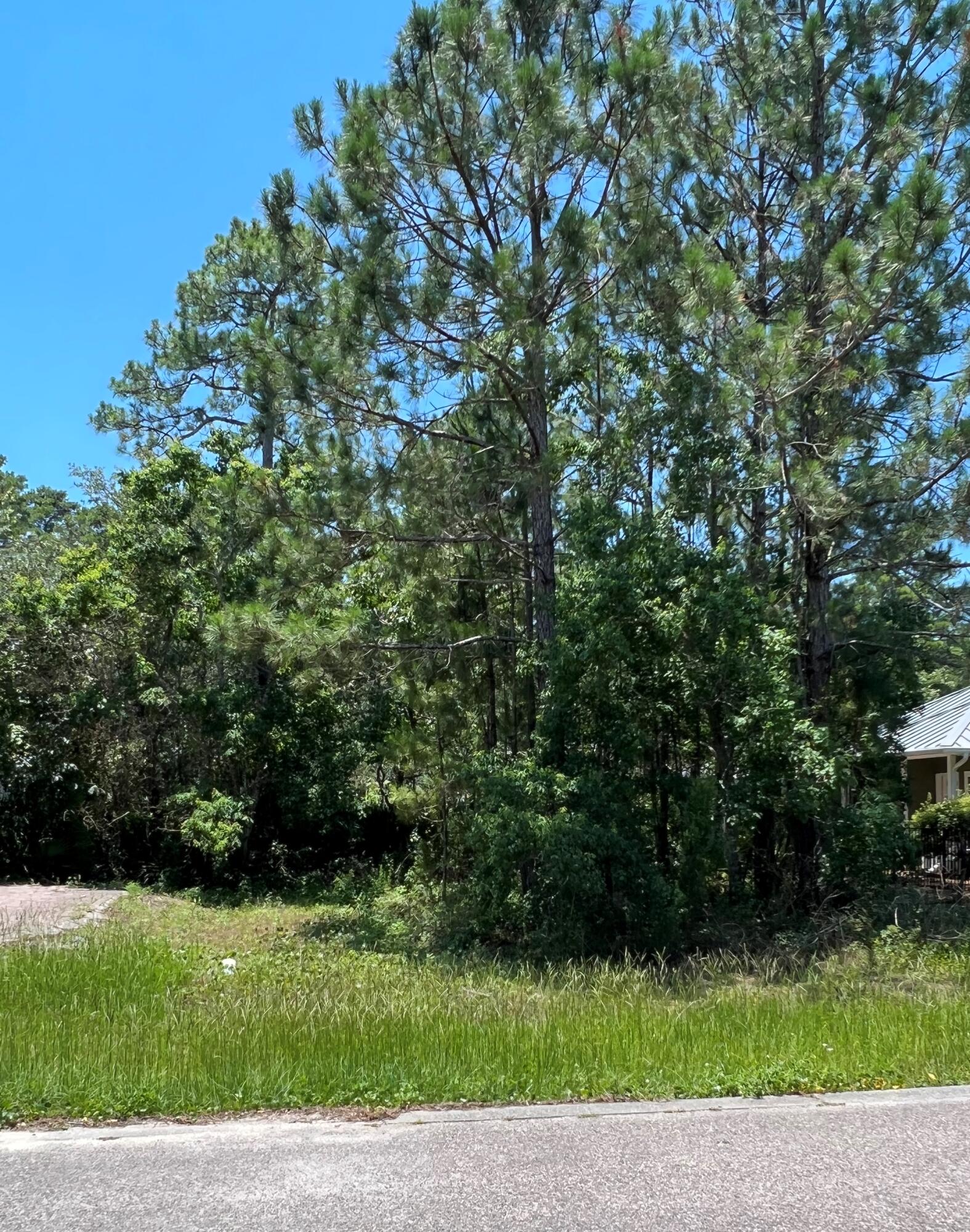Lot 15 Spotted Dolphin Road Santa Rosa Beach, FL 32459 - Photo 4 of 4 a view of a yard with a plants and trees in the background