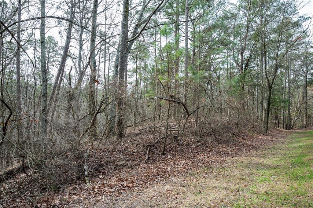0 Red Top Mountain Road Southeast Cartersville, GA 30121 - Photo 12 of 15