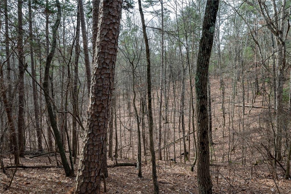 0 Red Top Mountain Road Southeast Cartersville, GA 30121 - Photo 14 of 15