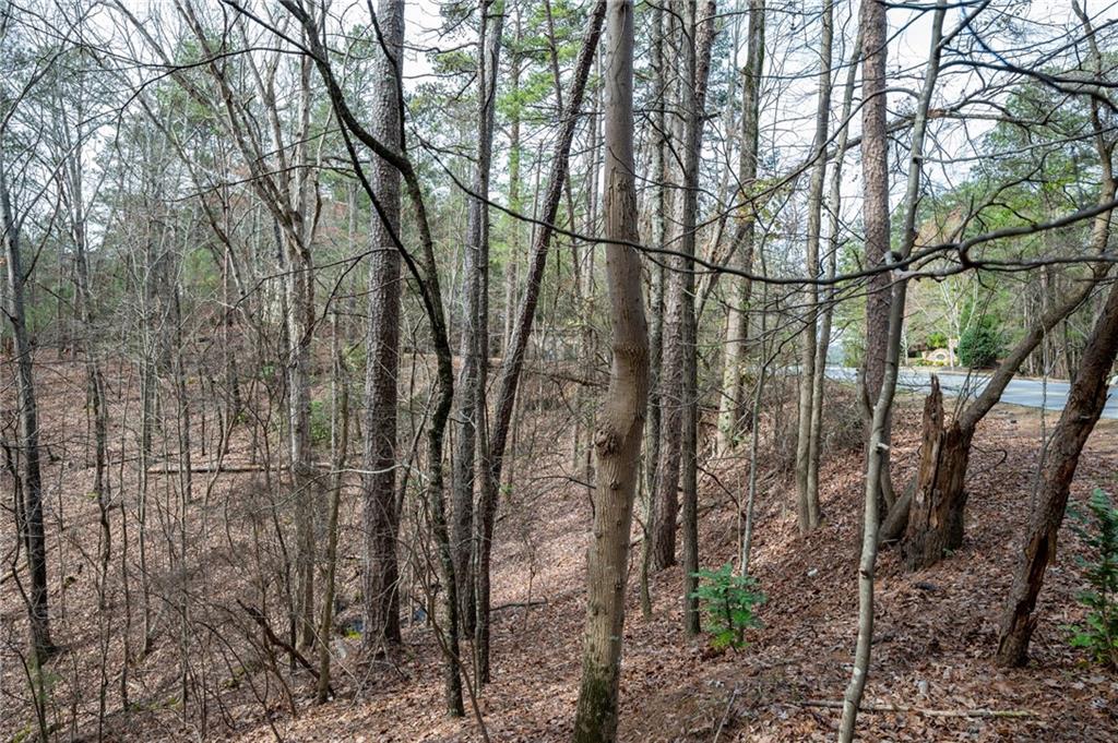 0 Red Top Mountain Road Southeast Cartersville, GA 30121 - Photo 15 of 15