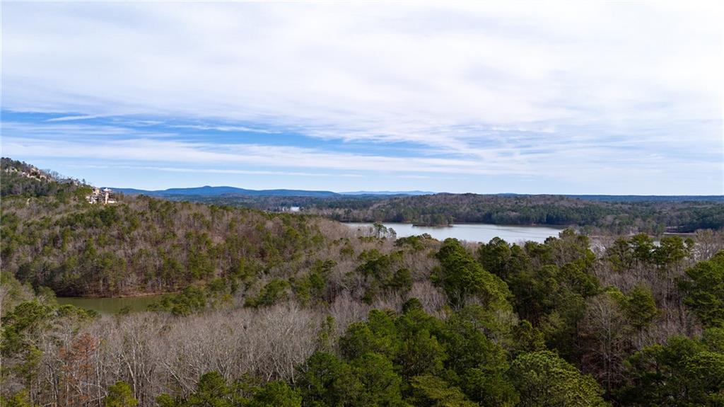 0 Red Top Mountain Road Southeast Cartersville, GA 30121 - Photo 7 of 15