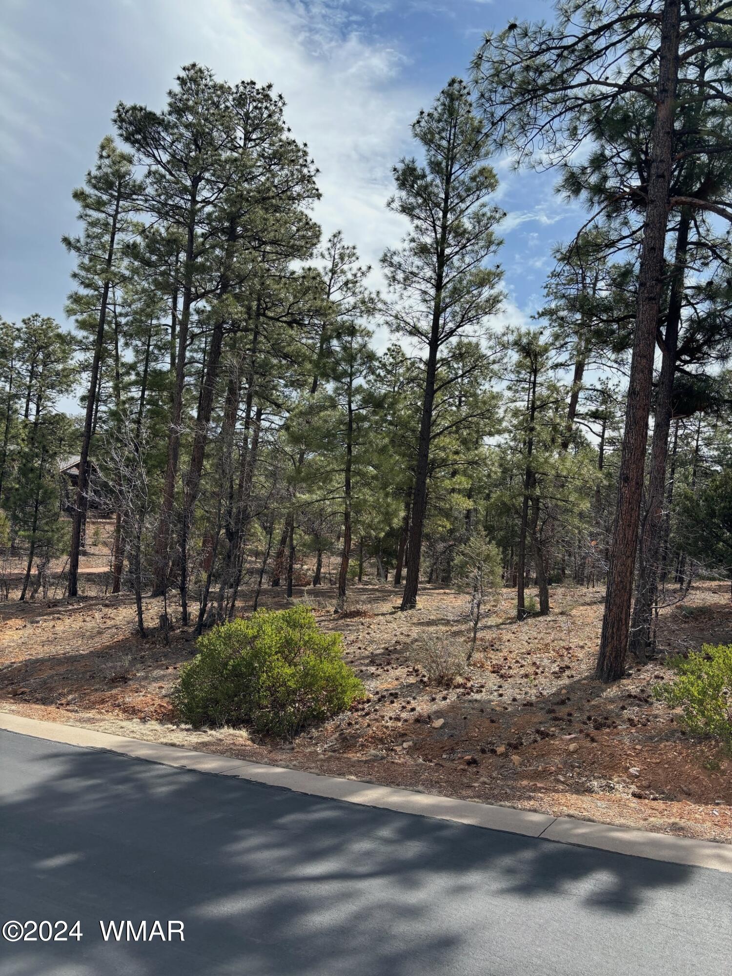 1661 West Snow Creek Loop Show Low, AZ 85901 - Photo 1 of 6 SC Lot 81