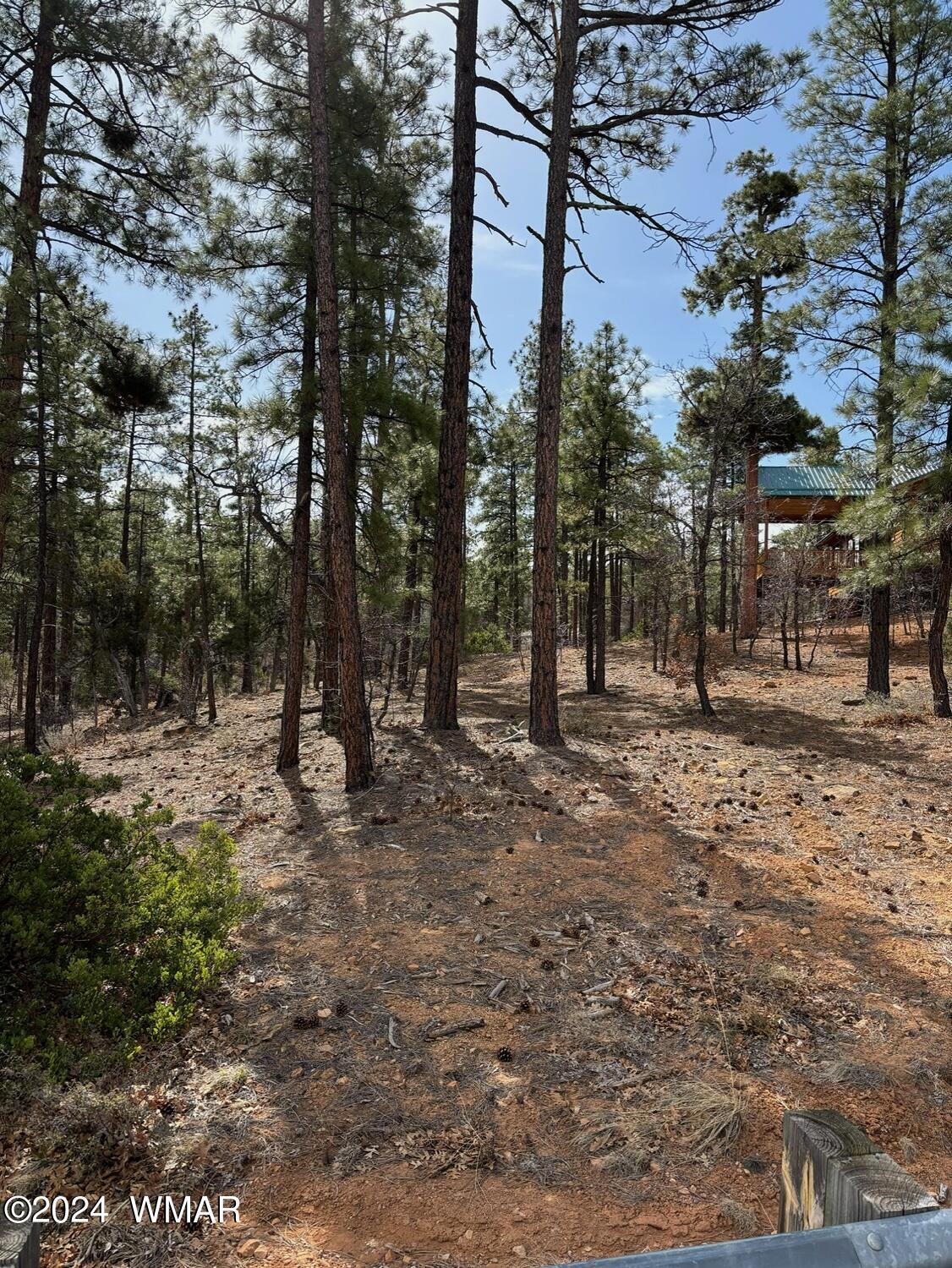 1661 West Snow Creek Loop Show Low, AZ 85901 - Photo 2 of 6 IMG_3573