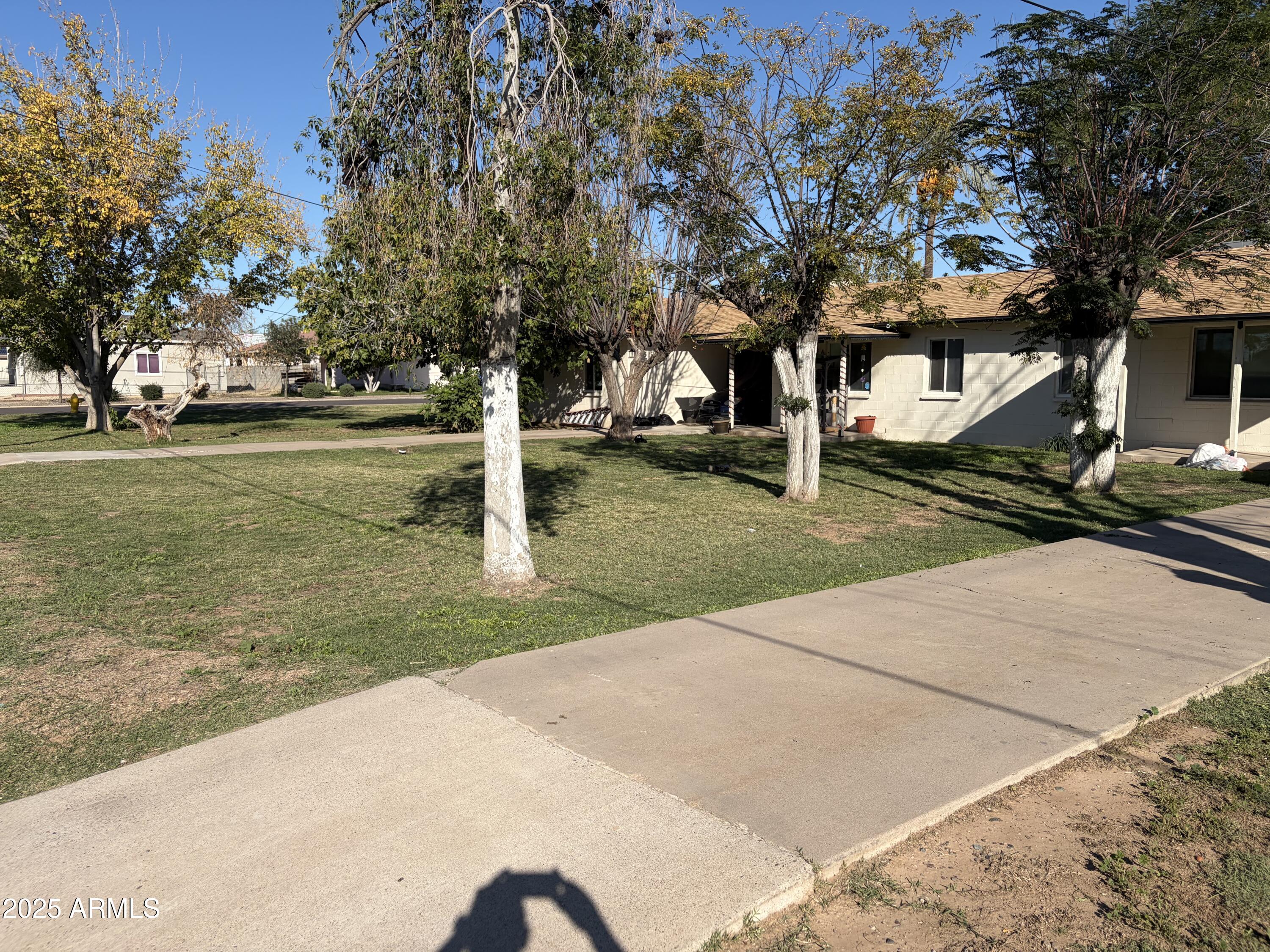 5963 West Ocotillo Road Glendale, AZ 85301 - Photo 8 of 12 a view of a park with large trees