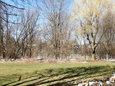 2331 North Fairview Lane Rochester, MI 48306 - Photo 10 of 10 Wooded Back Drop