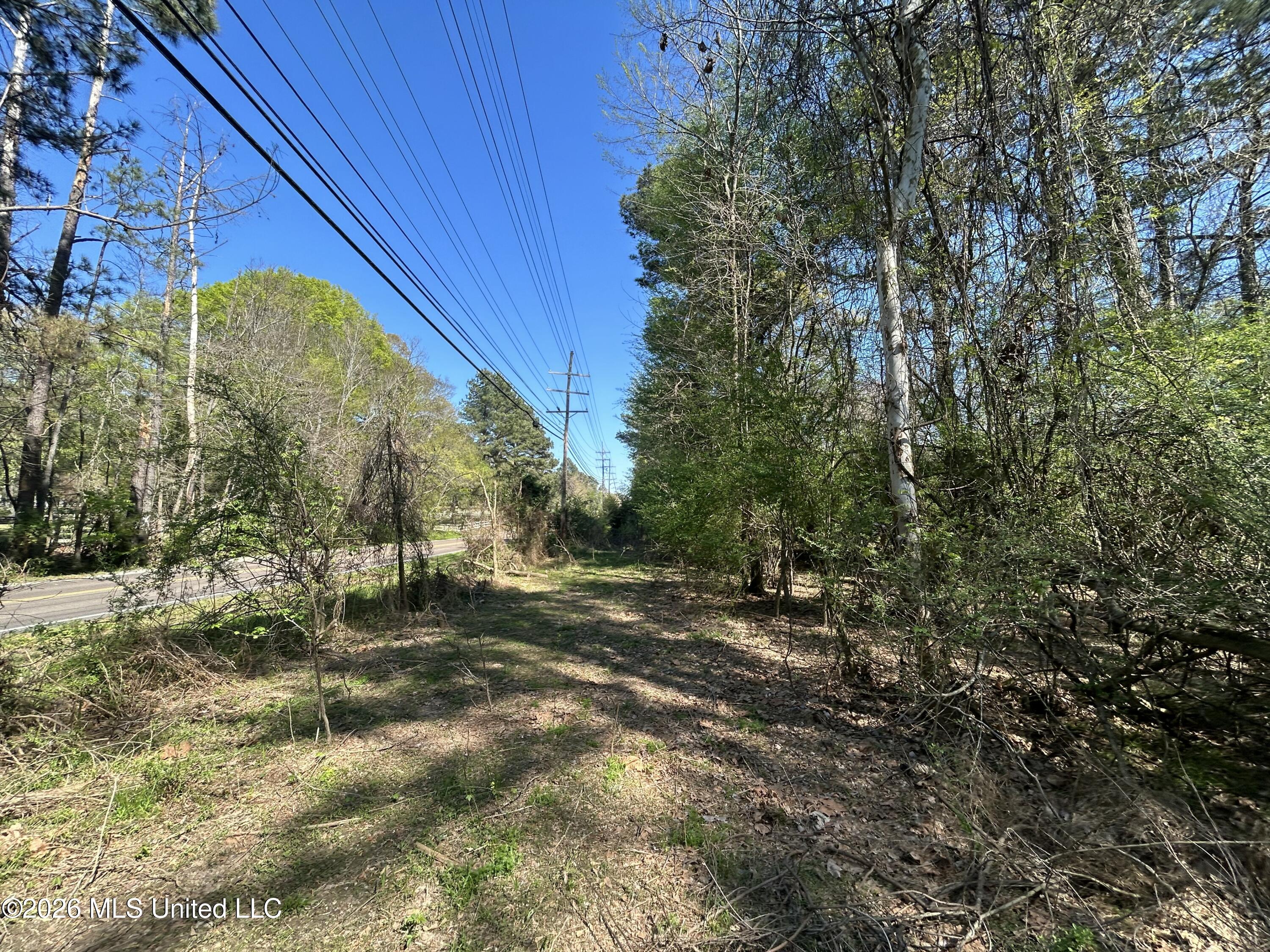 Hoy Road Madison, MS 39110 - Photo 2 of 3 IMG_7760