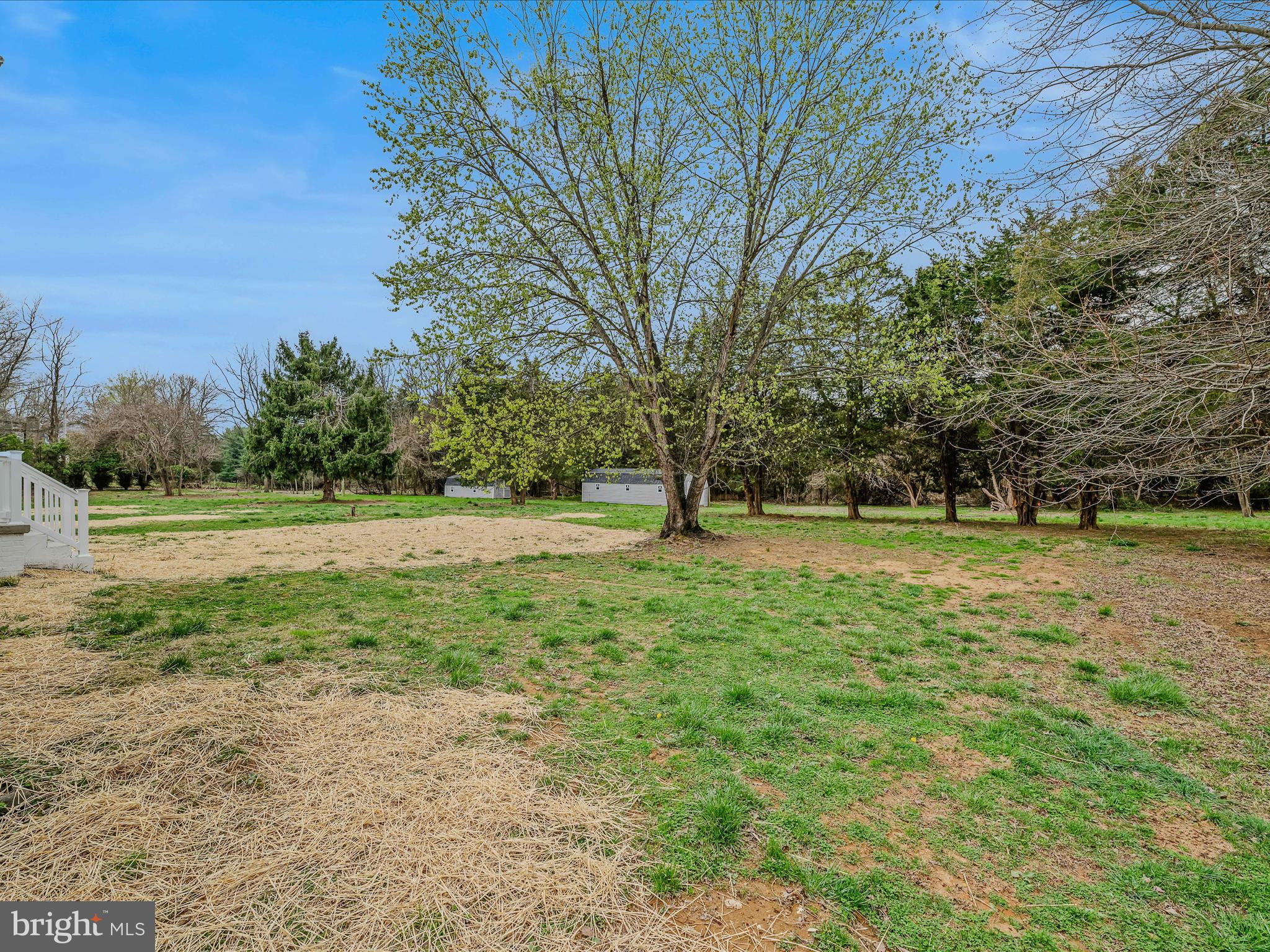 89 Morgan Grove Road Shepherdstown, WV 25443 - Photo 8 of 68 a view of outdoor space with trees all around
