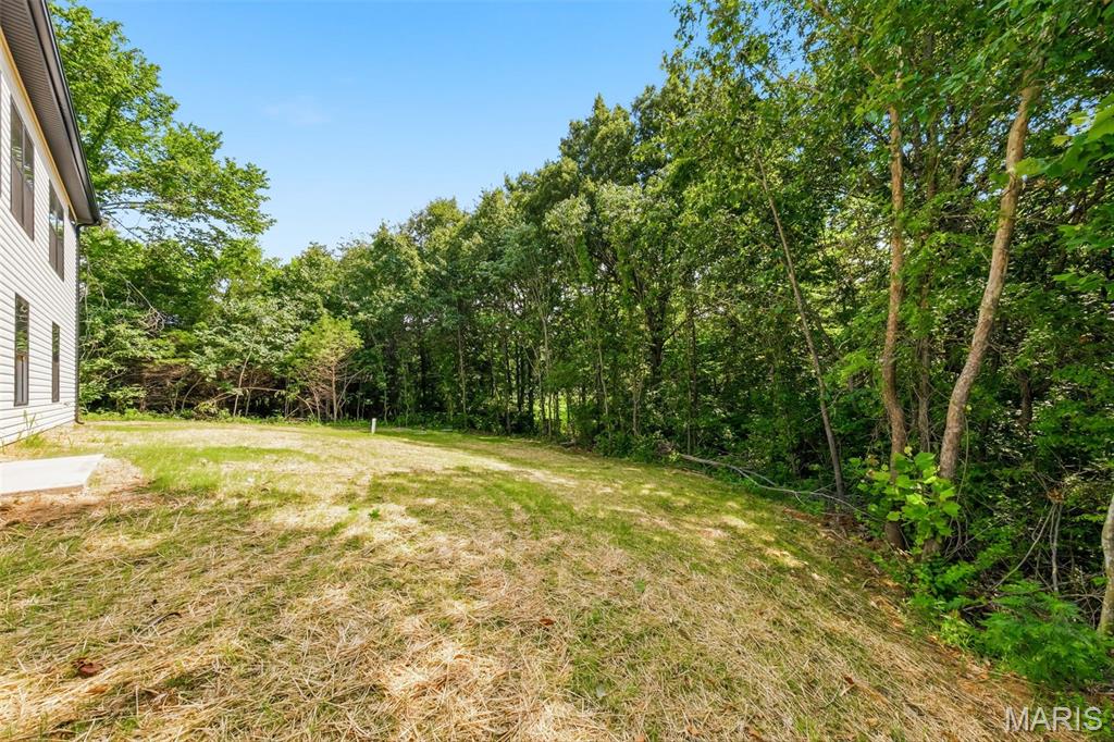 217 Red Mare Road Winfield, MO 63389 - Photo 42 of 59