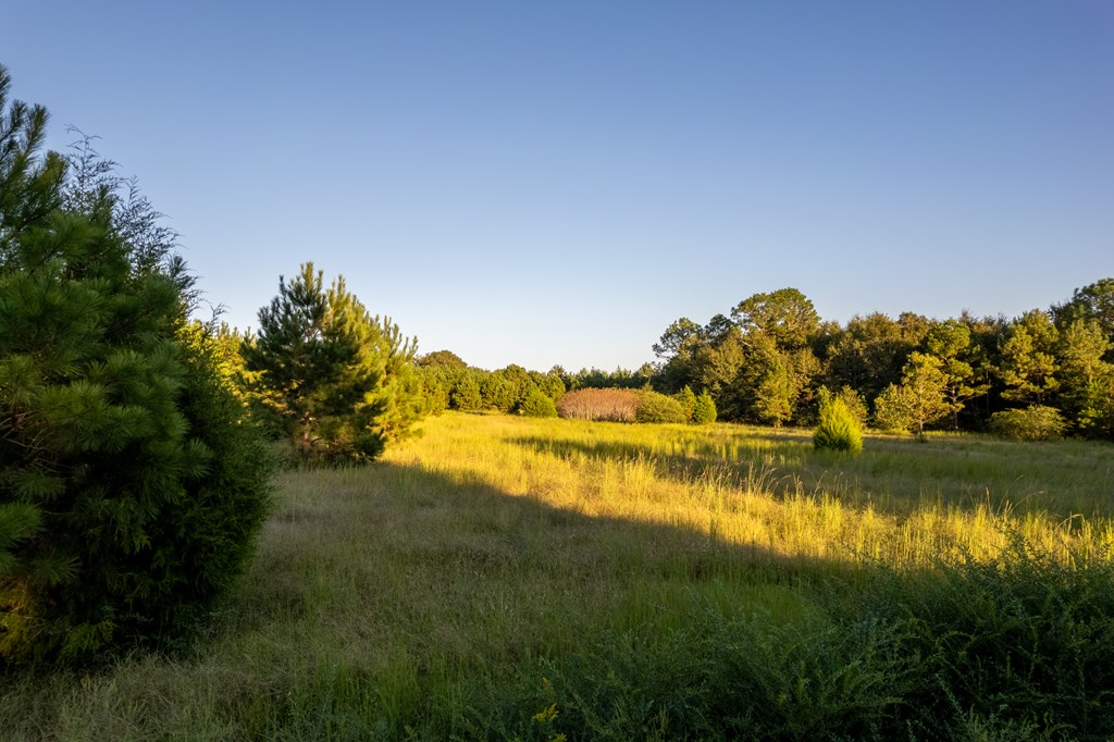 2226 Randall Wade Road Headland, AL 36345 - Photo 6 of 60