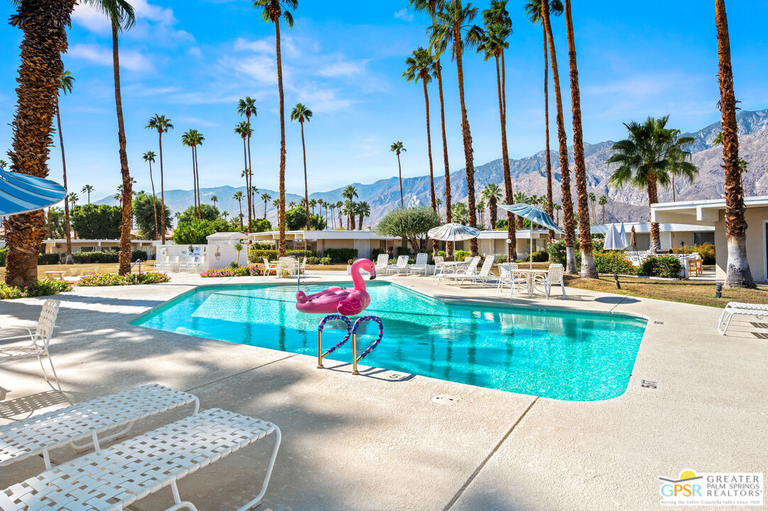 a view of a swimming pool with a lounge chairs