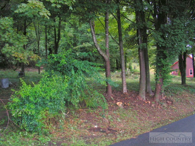 448 Ransom Street Blowing Rock, NC 28605 - Photo 11 of 16 Gallery Image 11