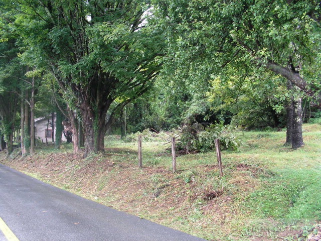 448 Ransom Street Blowing Rock, NC 28605 - Photo 12 of 16 Gallery Image 12