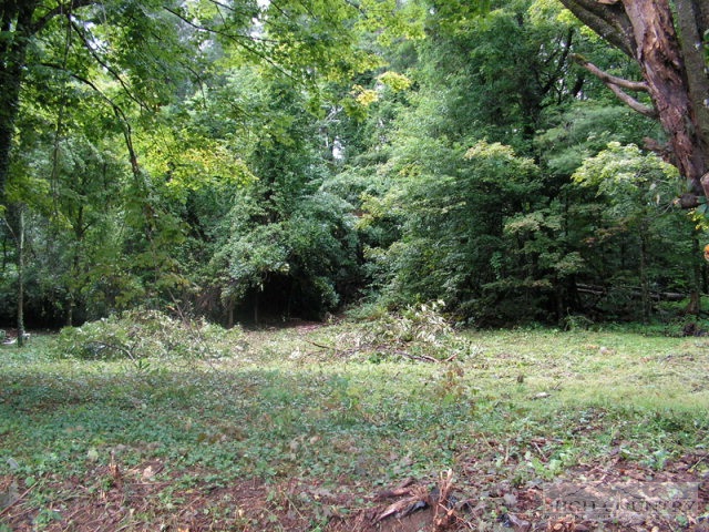 448 Ransom Street Blowing Rock, NC 28605 - Photo 14 of 16 Gallery Image 14