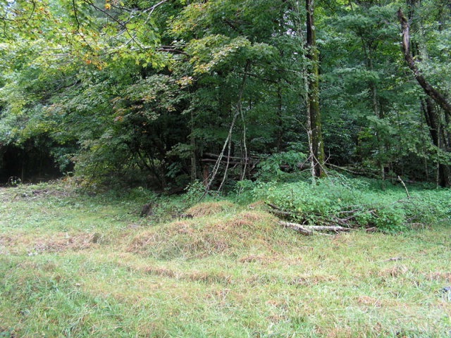 448 Ransom Street Blowing Rock, NC 28605 - Photo 15 of 16 Gallery Image 15