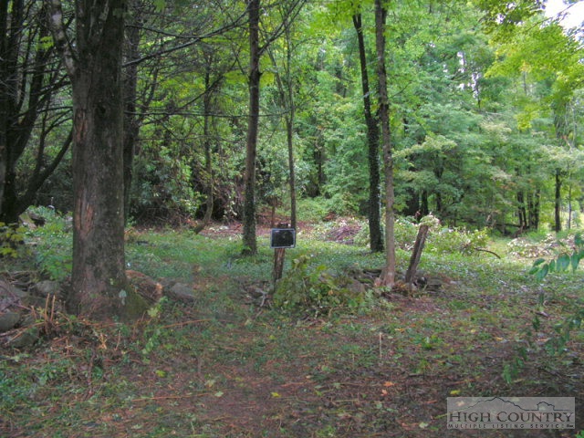 448 Ransom Street Blowing Rock, NC 28605 - Photo 3 of 16 Gallery Image 3