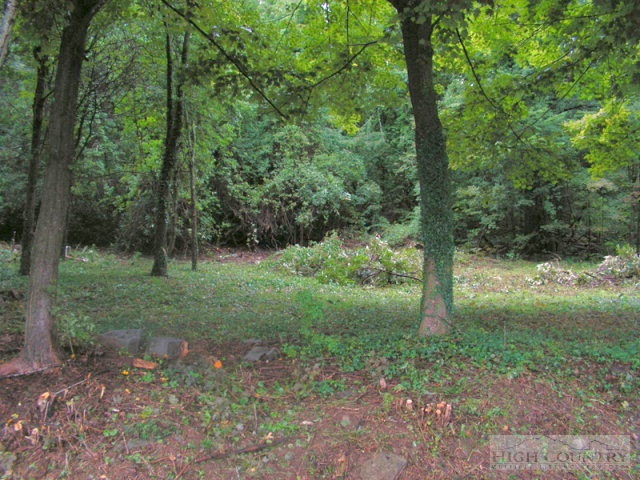 448 Ransom Street Blowing Rock, NC 28605 - Photo 10 of 16 Gallery Image 10