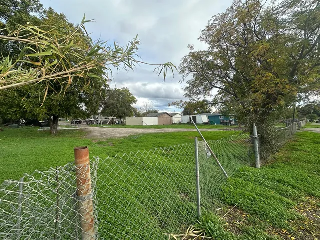 a view of a park with plants and trees