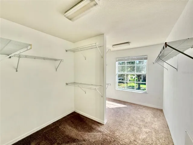 a view of a big room with closet and windows
