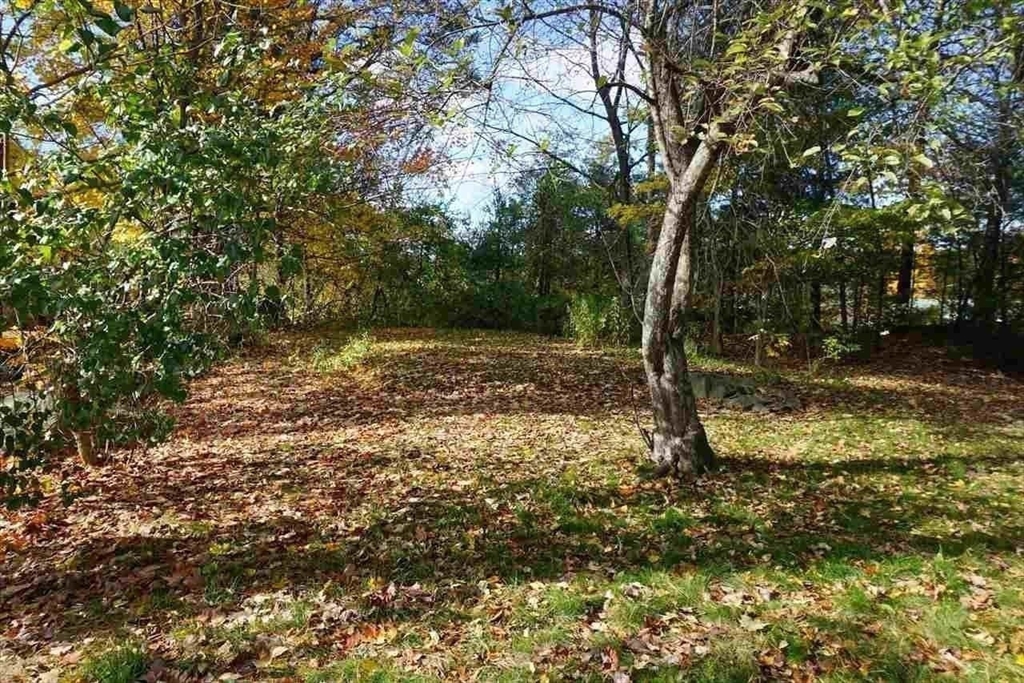 9 Michelle Drive Nashua, NH 03062 - Photo 2 of 10 a view of a yard with trees