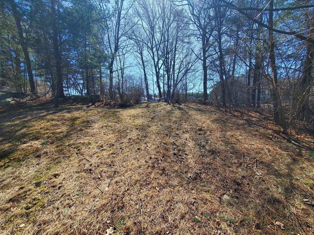 9 Michelle Drive Nashua, NH 03062 - Photo 3 of 10 a view of a backyard with large trees