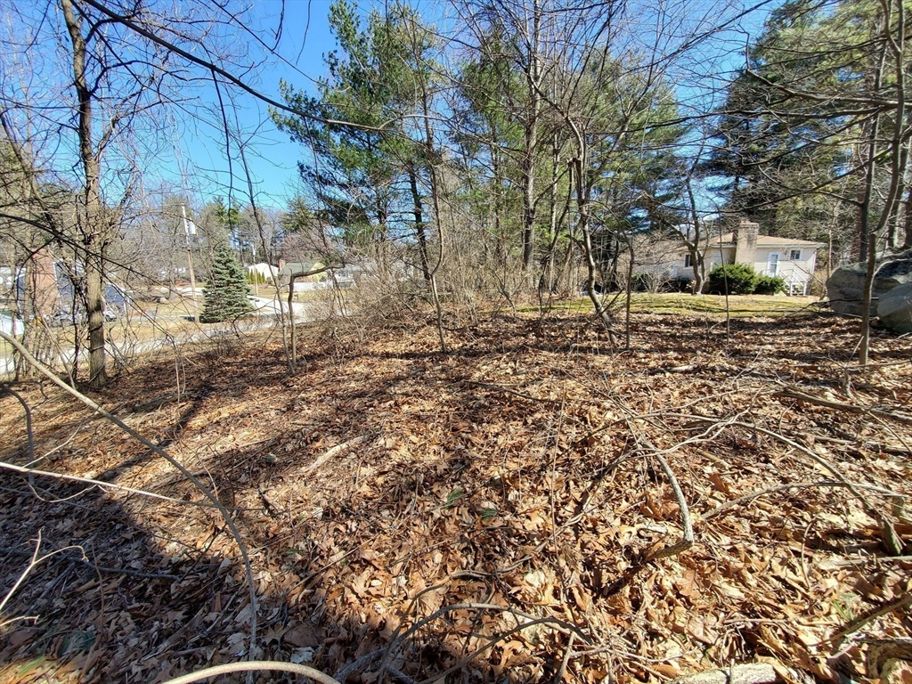 9 Michelle Drive Nashua, NH 03062 - Photo 4 of 10 a backyard of a house with lots of green space