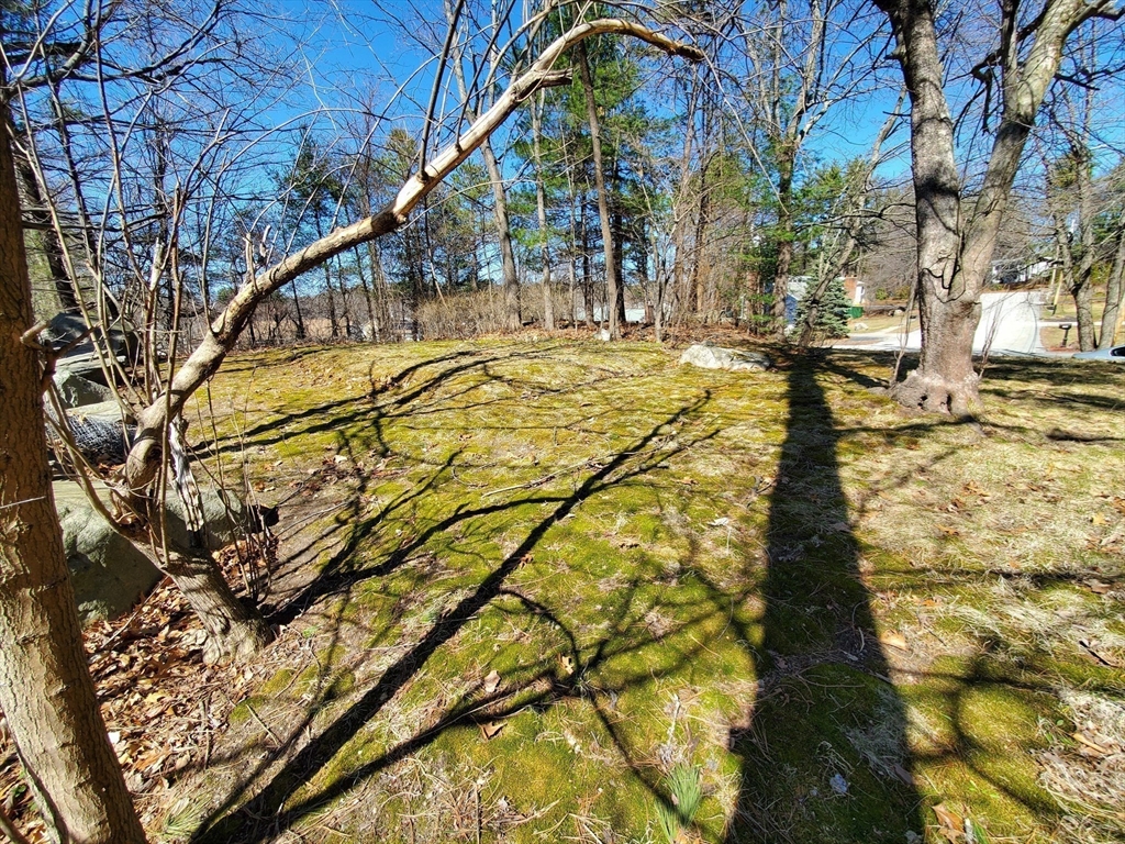 9 Michelle Drive Nashua, NH 03062 - Photo 5 of 10 a view of an chairs