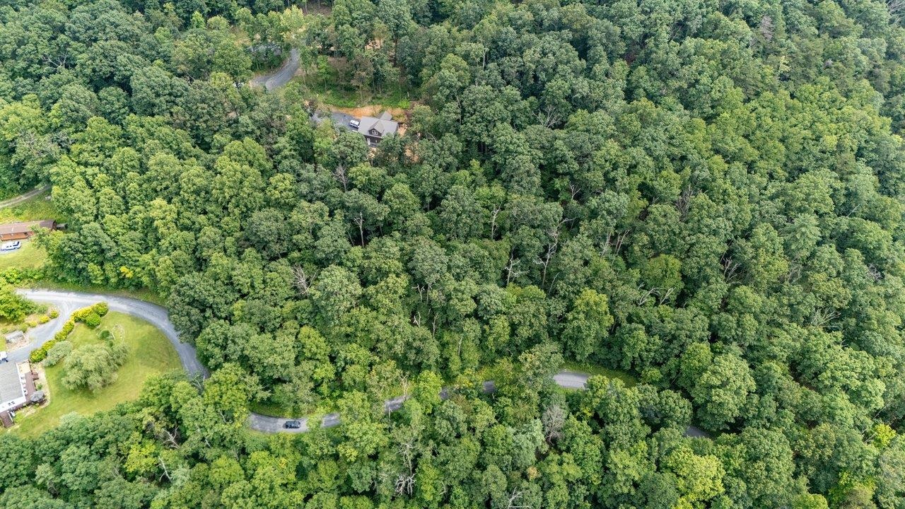 Tbd Rinker Road Broadway, VA 22815 - Photo 24 of 27 a view of a forest with a tree