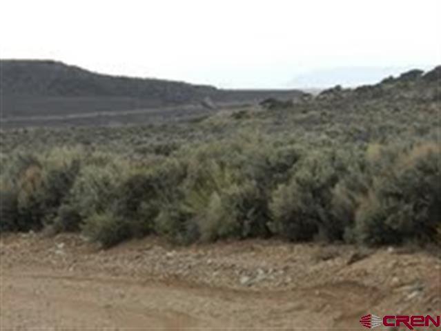 3136 Patricia Road Fort Garland, CO 81133 - Photo 3 of 5 Gallery Image 3
