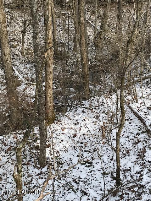 111-213.00 Concord Road Robbins, TN 37852 - Photo 3 of 5 IMG_8061