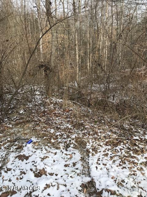 111-213.00 Concord Road Robbins, TN 37852 - Photo 4 of 5 IMG_8059