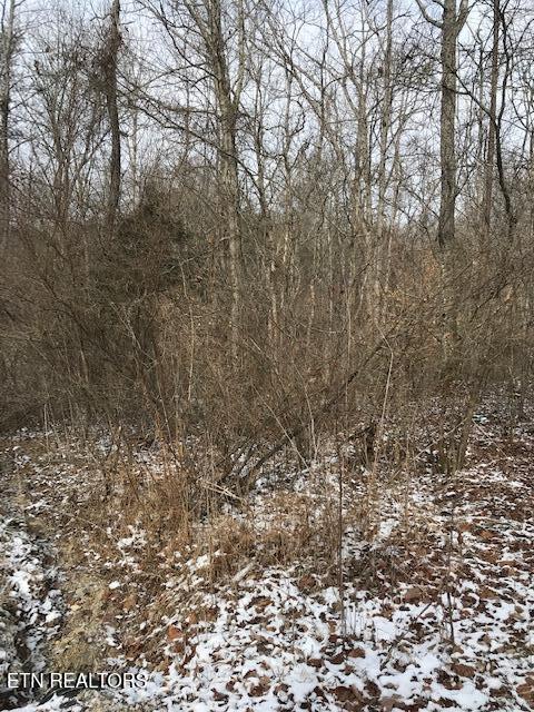 111-213.00 Concord Road Robbins, TN 37852 - Photo 5 of 5 IMG_8058