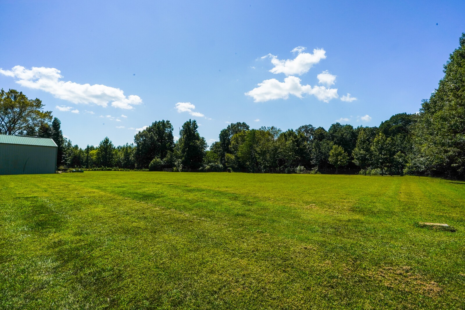 4221 Mt Zion Road Springfield, TN 37172 - Photo 9 of 36 a view of a big yard