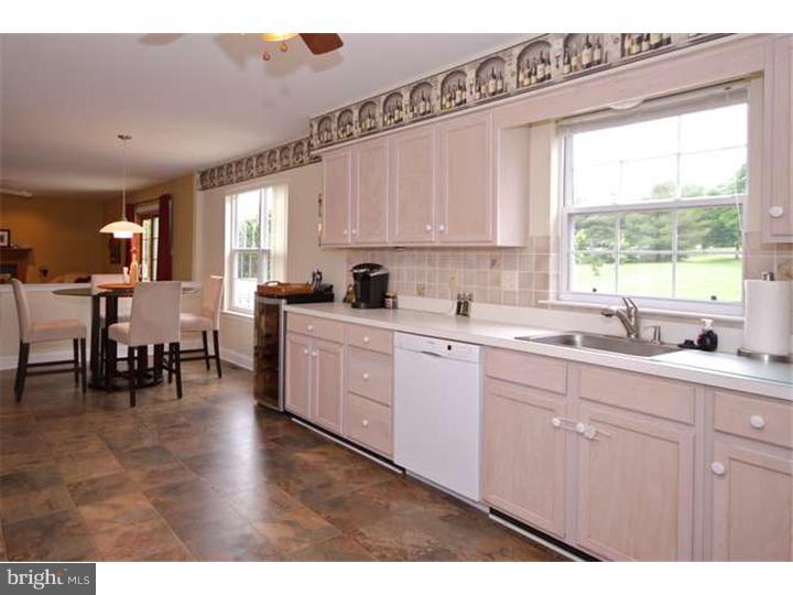 255 Green Tree Road Phoenixville, PA 19460 - Photo 11 of 25 Kitchen