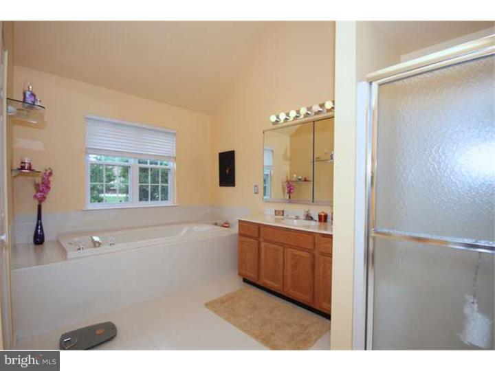 255 Green Tree Road Phoenixville, PA 19460 - Photo 17 of 25 Master Bathroom